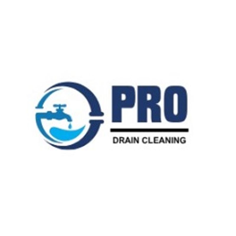 PRO Plumbers - Carson