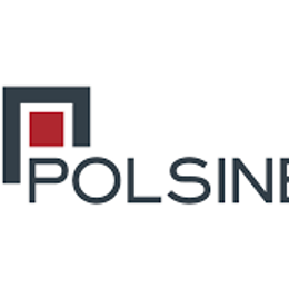 Polsinelli