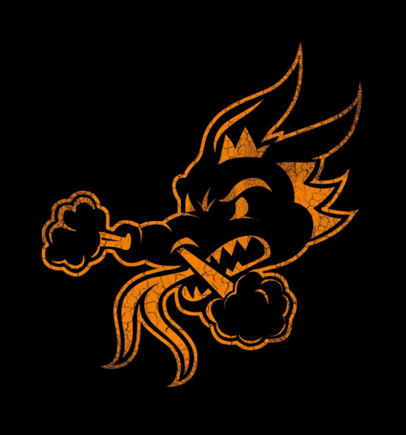 Dallas Dragons Youth Football