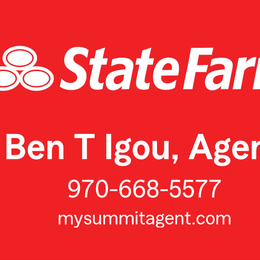 Ben T Igou State Farm Insurance Agency