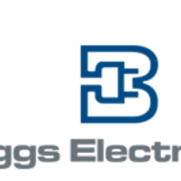 Briggs Electric