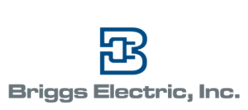 Briggs Electric