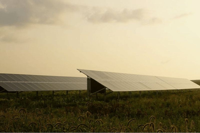 Solar panels stretch across a grassy field near Niagara Cave, capturing renewable energy under a softly lit sky and highlighting the site’s commitment to sustainability.