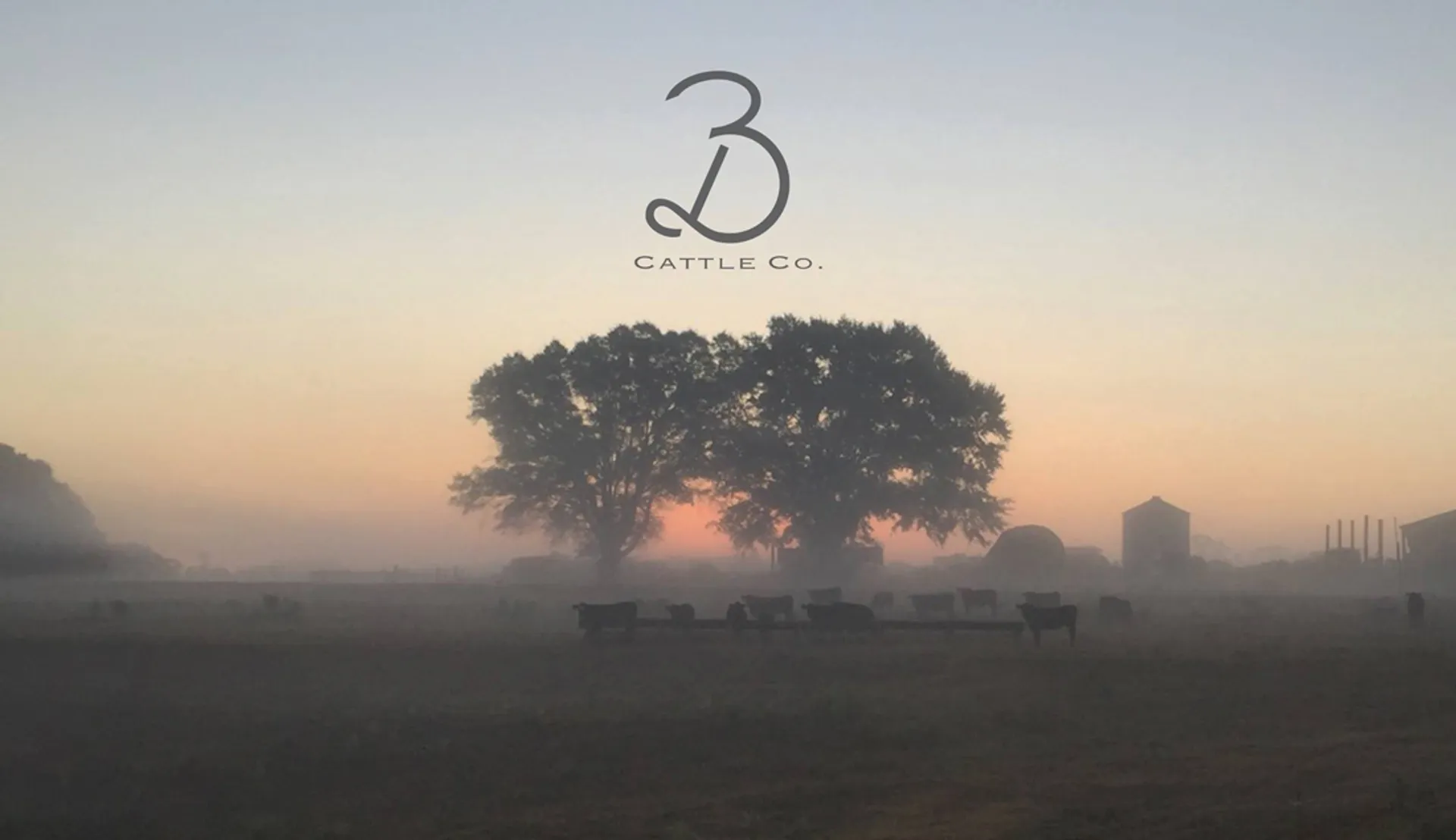 From a Prayer to a Purpose: The Story of Ritz Ranch & 3D Cattle Co.