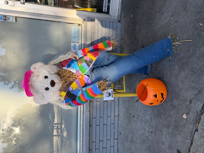Downtown Murfreesboro Mama Bear Scarecrow 2026