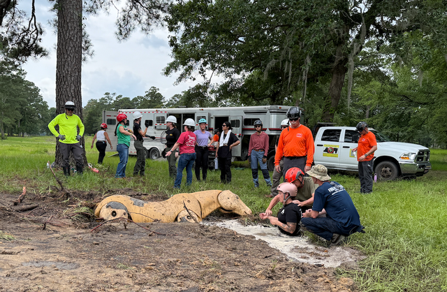 Large Animal Technical Rescue Training at Rescue Ranch