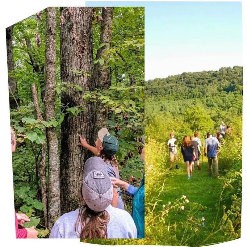 Visitors explore wooded trails and natural landscapes in the Lanesboro area, learning about the outdoors during a guided nature walk.