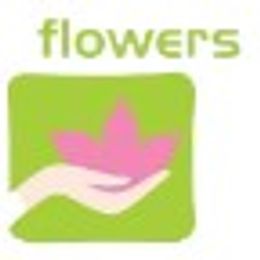 Flowers 'n More