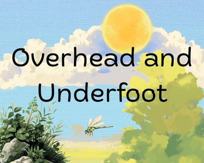 Overhead and Underfoot