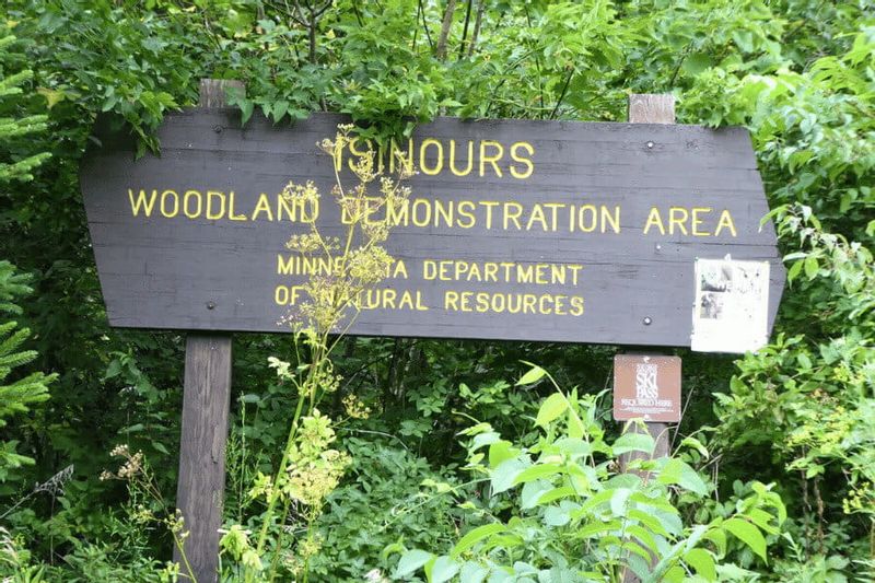 A wooden sign marks the Isinours Woodland Demonstration Area, managed by the Minnesota Department of Natural Resources, surrounded by dense green foliage.