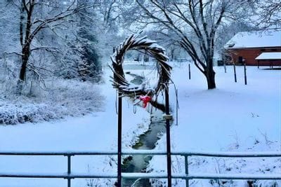 A winter public art installation by Lanesboro Arts featuring a large wreath arch over a narrow creek, surrounded by snow-covered trees and parkland.