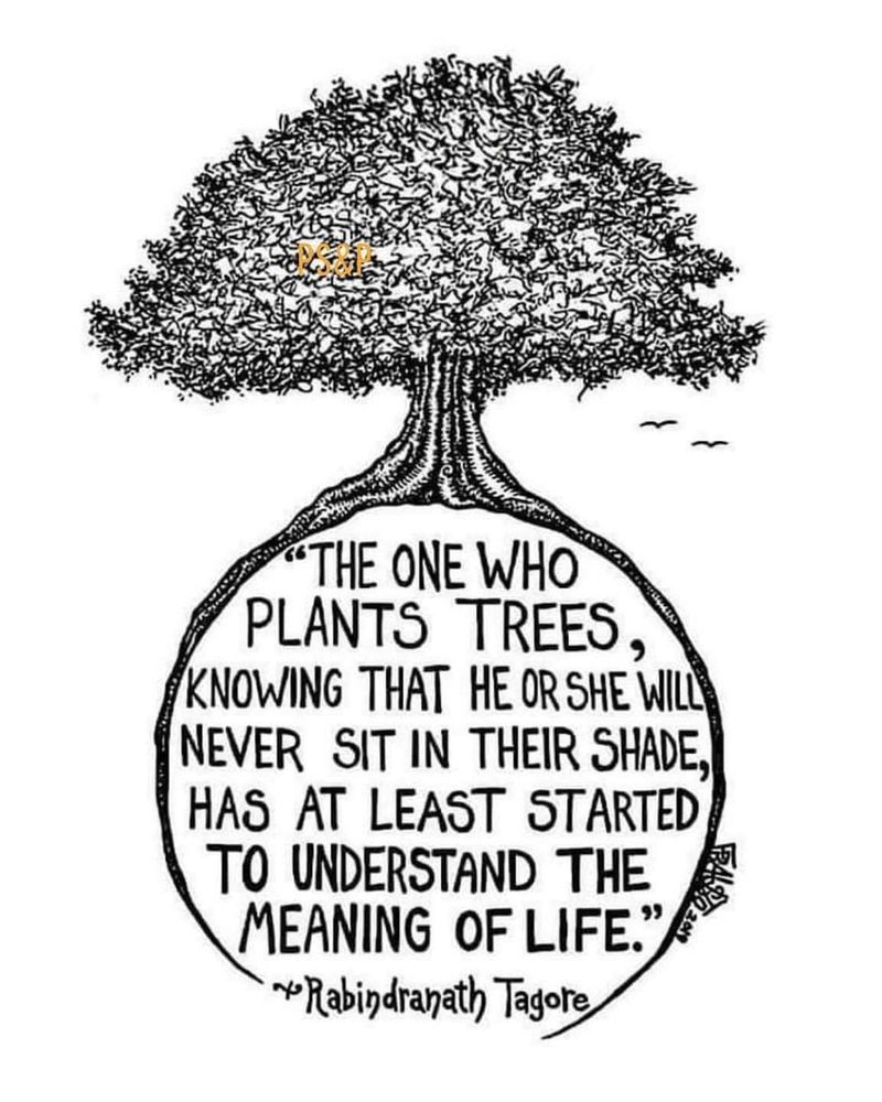 Ponderosa Tree Farm & Nursey, Inc