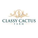 Classy Cactus Farm