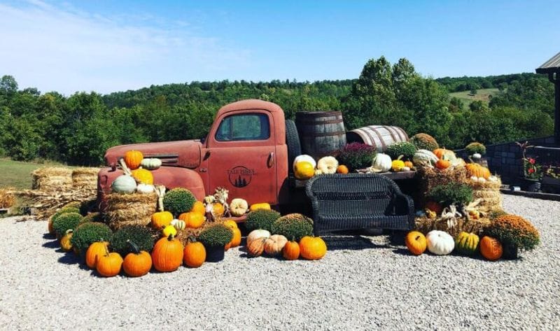 Tall Pines Distillery