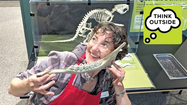 Think Outside: Museum Collections