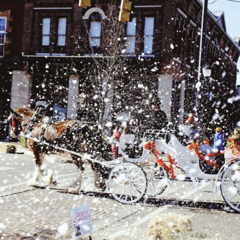 Carriage ride with snow