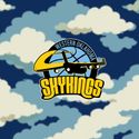 Western Oklahoma Skykings