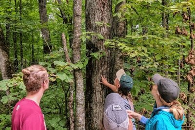 Group of participants identifying trees during a guided nature program at Eagle Bluff Environmental Learning Center in southeast Minnesota.
