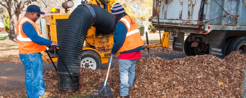 Yard Waste & Leaf Collection