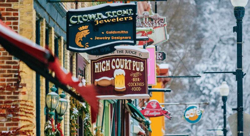 Colorful hanging business signs line downtown Lanesboro during the winter holidays, including Crown Trout Jewelers and the High Court Pub, with snow-dusted trees in the background.
