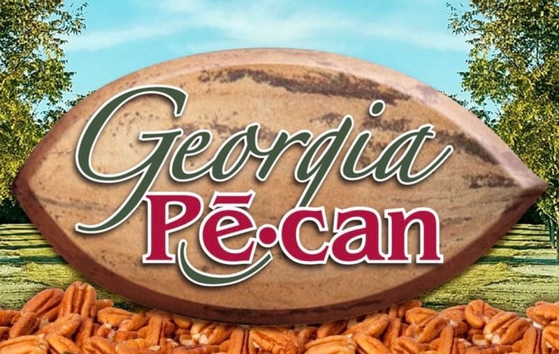 Georgia Pecan