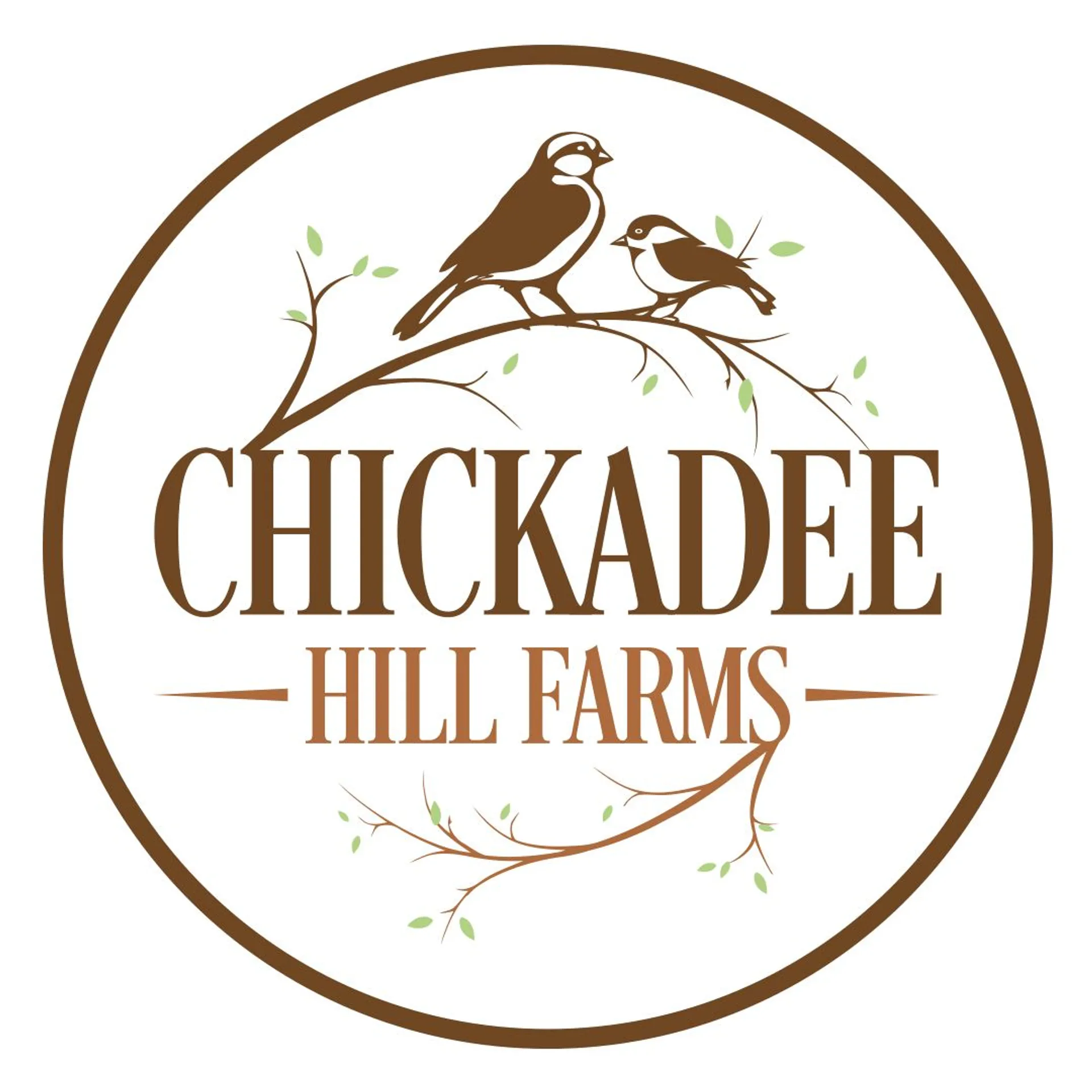 Mini Horse Rescue – Chickadee Hill Farms of North Carolina