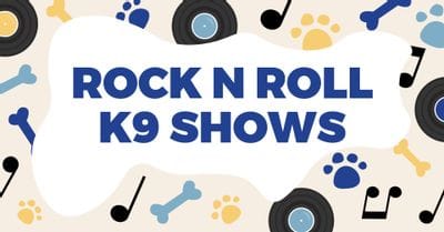 Rock N Roll K9 Team Performances