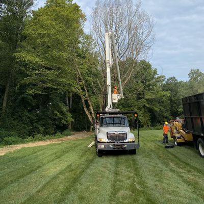 Earnest Tree Service & Landscaping