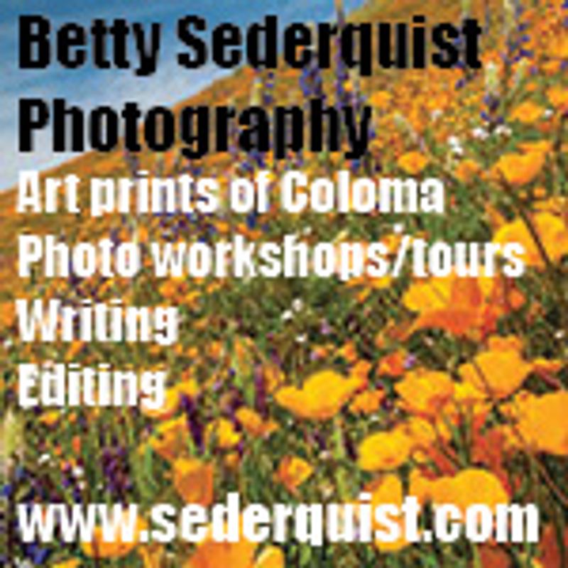 Betty Sederquist Photography