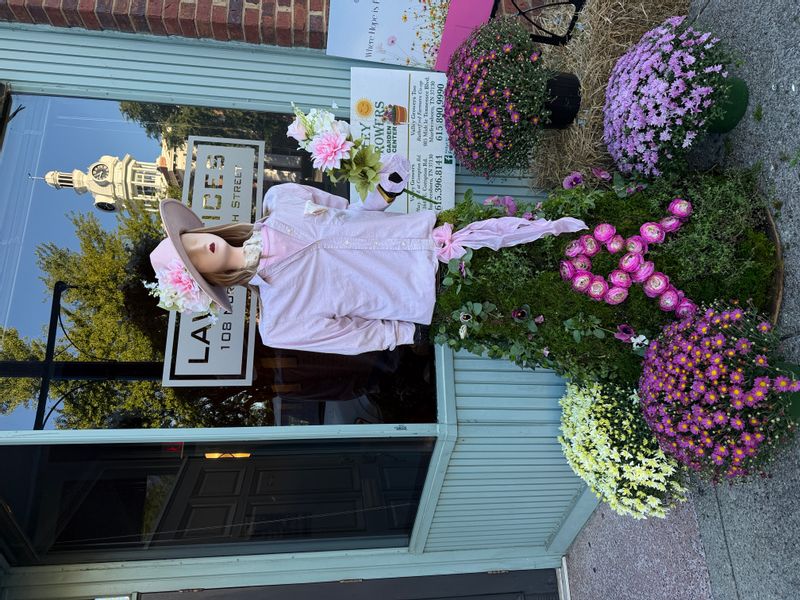 Downtown Murfreesboro Scarecrow 2026