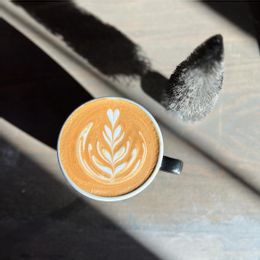 Black Lodge Coffee Roasters