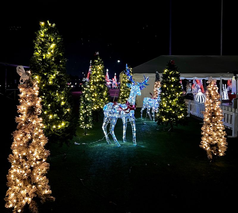 Christmas light display at the Oxford Festival of Lights in Oxford