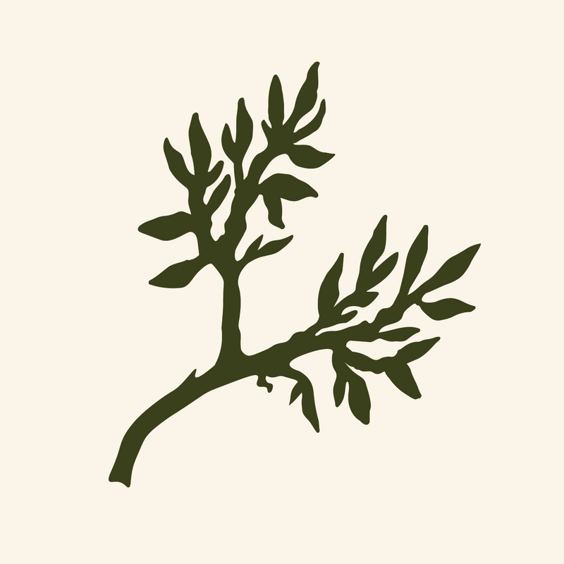 Two Branches Farms