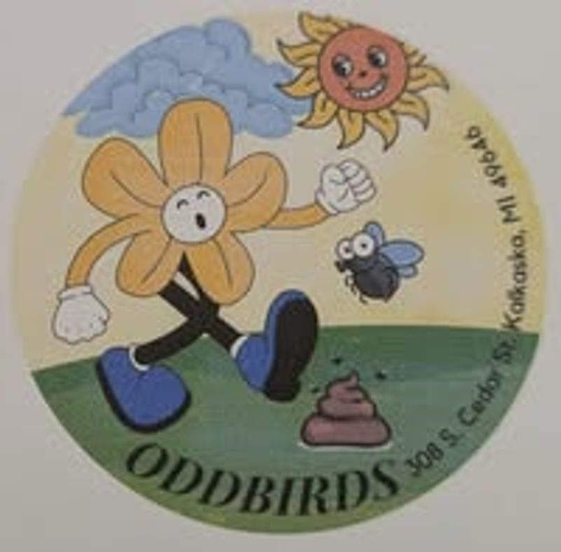 Oddbirds llc