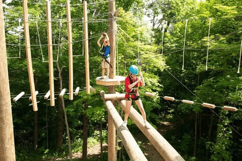 Participants navigate a high ropes course at an outdoor adventure facility in the Lanesboro area, suspended among trees.