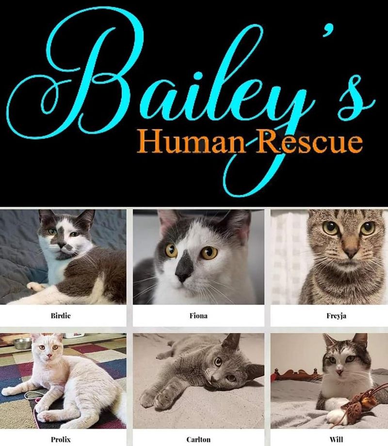 Bailey's Human Rescue