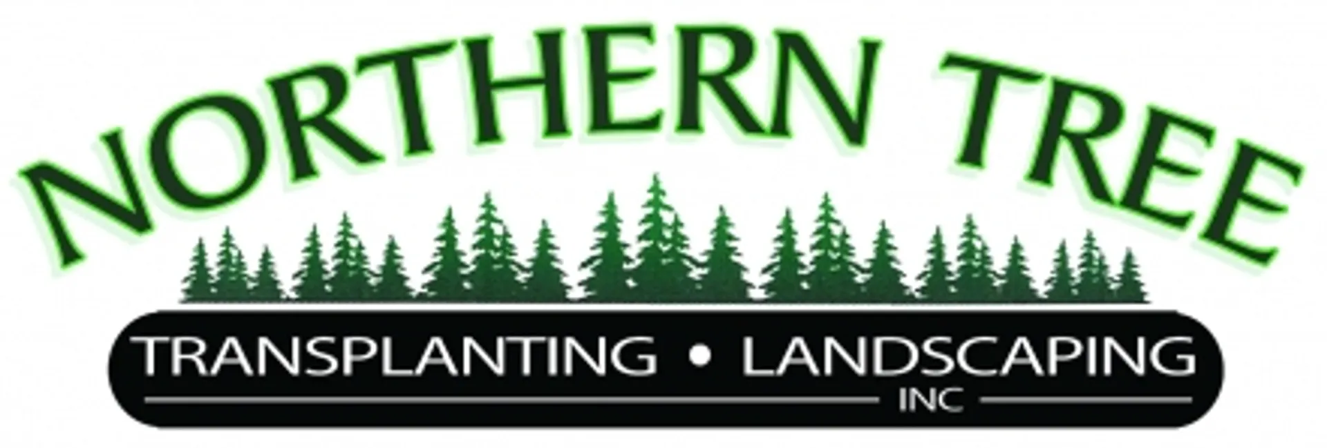 Member Spotlight: Rooted in Bellaire, Growing Northern Michigan’s Beauty