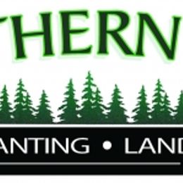 Northern Tree Transplant & Landscaping Inc.