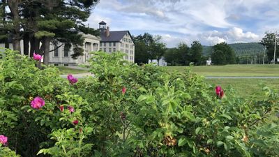 Weekly Shaker Herb Garden Tour