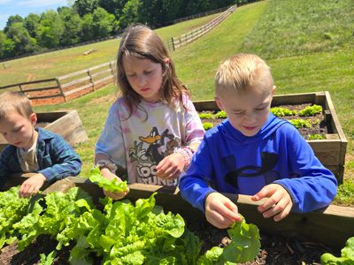 Compost Champions: Elementary Summer Camp