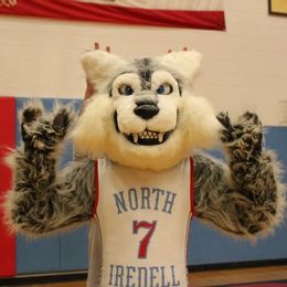 North Iredell High School