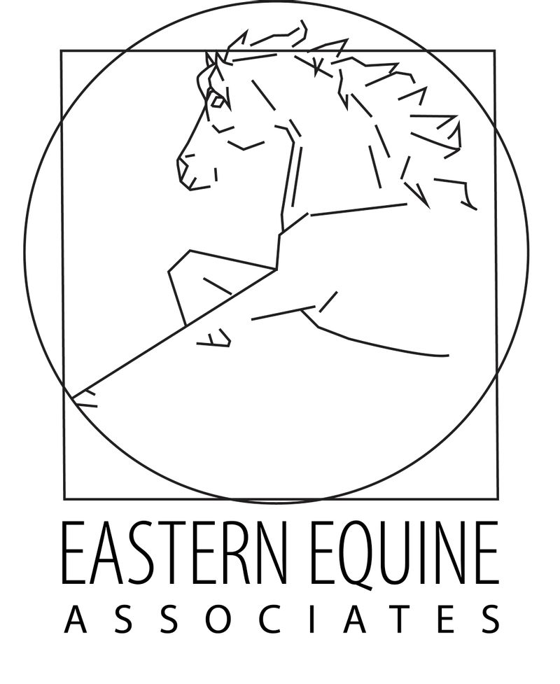 Eastern Equine Associates