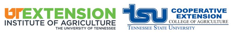 UT/TSU Extension - Rhea County