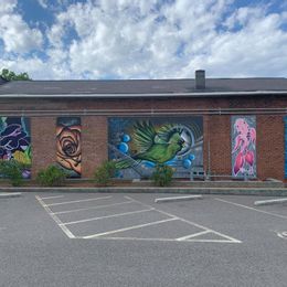 SVL Art Wall
