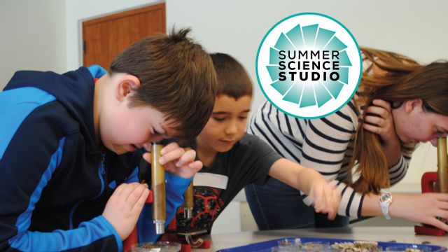 Summer Science Studio: Microscopes and Magnifying Glasses