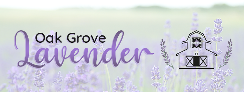 Oak Grove Lavender LLC