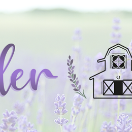 Oak Grove Lavender LLC