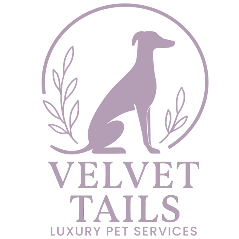 Velvet Tails - Luxury Pet Services