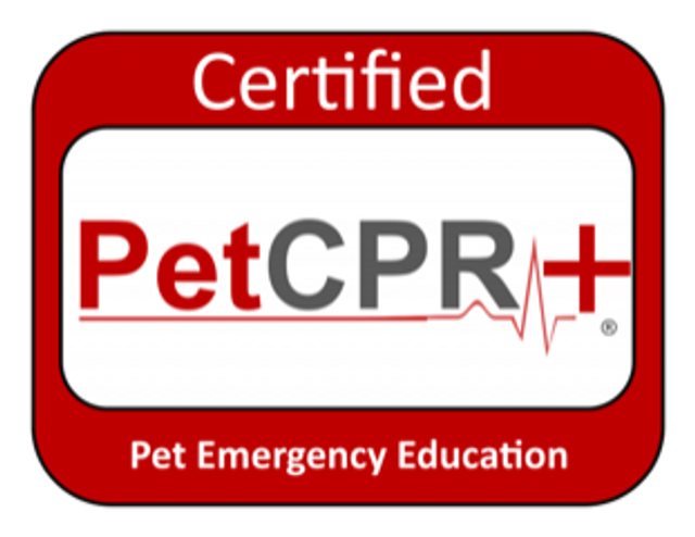 Pet Care and Pet Sitting Insurance