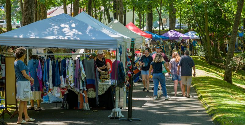 People stroll along a shaded pathway lined with colorful vendor tents during Art in the Park at Martin Luther King Jr. Park. Artists and vendors display clothing, crafts, and handmade items beneath white, blue, red, and purple canopies. Visitors walk through the park enjoying the outdoor community event surrounded by trees and greenery on a sunny day.